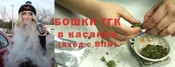 дживик Алагир