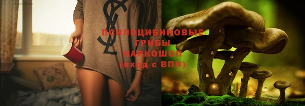 PSILOCYBIN Апатиты