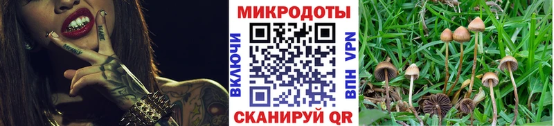 продажа наркотиков  Нижние Серги  Галлюциногенные грибы Magic Shrooms 